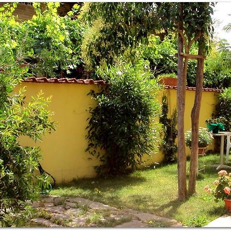 צ'יאמפינו B&B Degli Amici מראה חיצוני תמונה